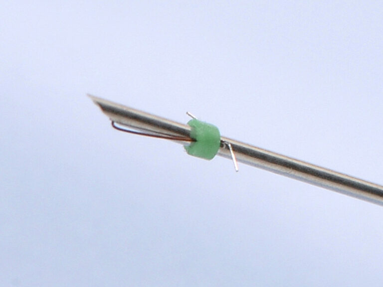 Hooked Wire Electrode Laryngeal Electromyography